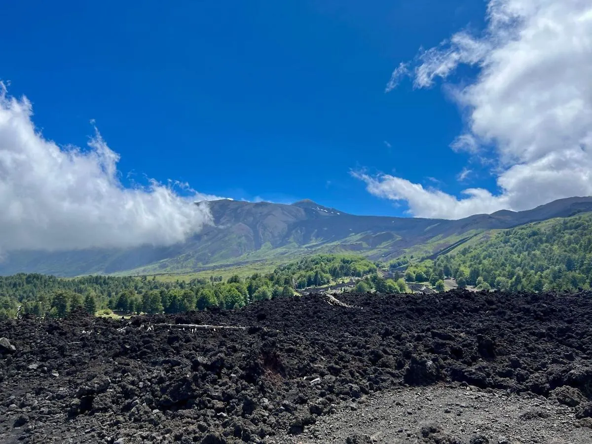 Etna City Home Accogliente Nel Cuore Di كاتانيا
